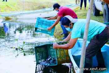 Concluye repoblación de cuerpos lagunares en Tabasco... pero preocupan "pescadores libres" - XeVT 104.1 FM | Telereportaje