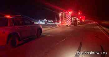 Alberta man killed in rollover east of Nanton; dog in vehicle reunited with family