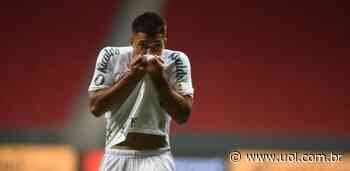 Santos: Dracena e agente detalham 'renovação marcante' de Marcos Leonardo - UOL Esporte