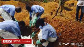 Ebola outbreak 2021 in Guinea: Ebola epidemic dey declared over for Guinea afta e kill 12 - BBC News