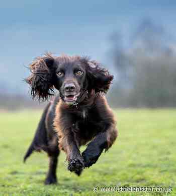 CAMERA CLUB: The latest stunning images of St Helens taken by our members - St Helens Star