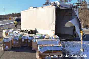Escaped lab monkeys found after US lorry crash - St Helens Star