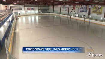 Corner Brook shuts down minor hockey for Christmas as precaution - ntv.ca - NTV News