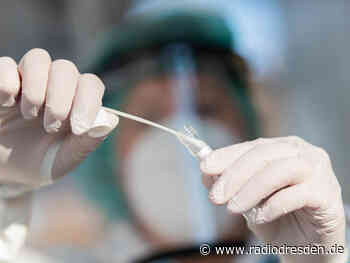 Forscher der TU Dresden wollen PCR-Schnelltest entwickeln - Radio Dresden