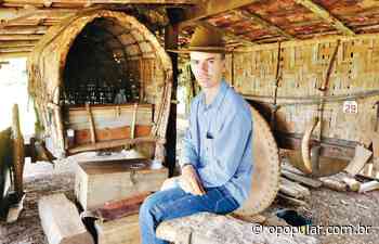 Carros de bois da Romaria de Trindade e capoeira de Goiás ganham ações de preservação - O Popular