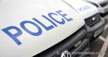 Police confirm missing 90-year-old County Durham man Neil Musgrave has been found - Chronicle Live