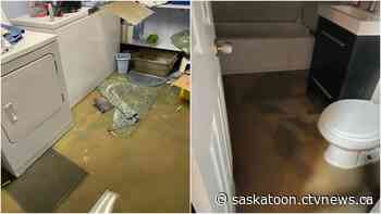 'Sewer smell in there is horrible': Saskatoon residents frustrated with city over basements repeatedly flooding - CTV News Saskatoon