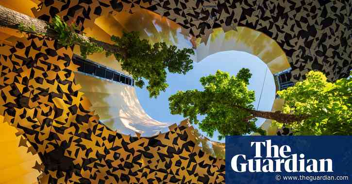 Sou Fujimoto’s House of Hungarian Music: ‘We wanted to transform the forest into architecture’