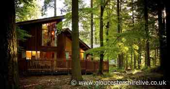 Forest Holidays new park to open just a stone's throw from Gloucestershire - Gloucestershire Live