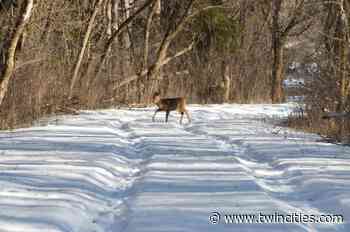 May Township moratorium means long-sought Wilder Forest land deal is off table - TwinCities.com-Pioneer Press