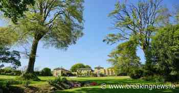 Inside the Cork hideaway with an ancient forest and room to land four helicopters - BreakingNews.ie