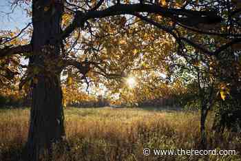 Rare reserve, hospices partner to create 'Forest of Memories' - TheRecord.com