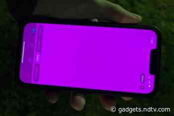 iPhone 13 Series Hit by Pink Screen Issue for Some Users, Apple Reportedly Considers Problem a Software Bug