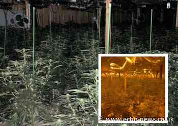 Basildon: Men due in court in connection with 1,000 cannabis farm | Echo - Echo