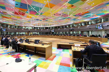 Staghouwer zoekt nieuwe vrienden in Brussel - Boerderij