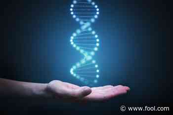 Are Illumina and Beam Therapeutics the Healthcare Industry's Rising Stars? - The Motley Fool