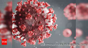 Coronavirus: Will the Omicron soon replace the Delta variant? Here's what WHO has to say - Times of India