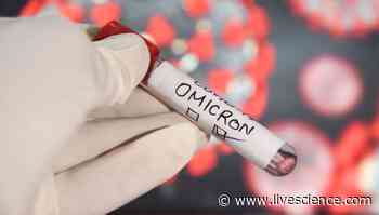 Will omicron wipe out delta forever? - Livescience.com