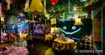 10 of the best things to do in Calgary this week (January 24-28) - Curiocity