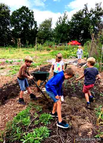 Heel wat activiteiten van 'Transitie Mol en Balen' in 2022 - Nnieuws.be
