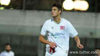 Pro Vercelli, affondo definitivo per Minelli: trattativa ai dettagli - Tutto Lega Pro