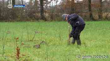 Natuurpunt plant 1200 nieuwe bomen in Geetbets: "Dit is de ideale locatie voor een bos" - ROB-tv