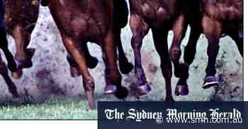 Bathurst trainer Dean Mirfin tasked with keeping Sydney raiders honest - Sydney Morning Herald
