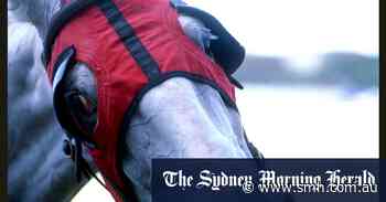 Race-by-race preview and tips for Bathurst meeting on Tuesday - Sydney Morning Herald