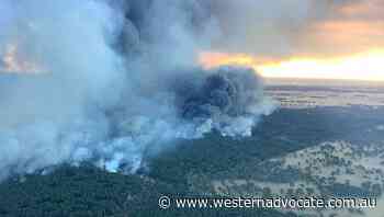Fatal SA bushfire reduced to hotspots - Western Advocate