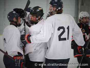 Hockey Notebook: Shakespeare's Higgins headed to Quebec league's Acadie-Bathurst Titan - The Beacon Herald