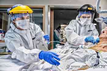 Is het nu rood, geel of oranje? Coronabarometer zorgt al meteen voor verwarring - De Morgen