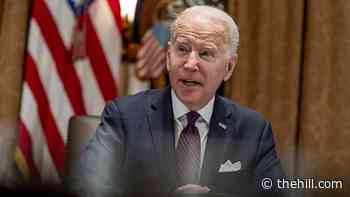 Biden weighing deployment of US troops to NATO allies: report
