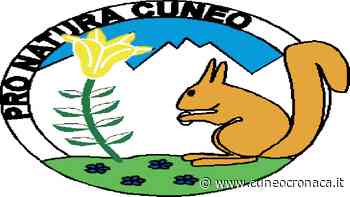 CUNEO/ "Goma, guerra voluta e dimenticata" nella conferenza Pro Natura mercoledì sera - Cuneocronaca.it