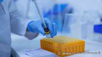 Covid, Piemonte: altri 11 morti (1 Cuneo), +48 ricoverati, +8673 positivi (989 in provincia), +6021 guariti (697 Granda) - Cuneocronaca.it