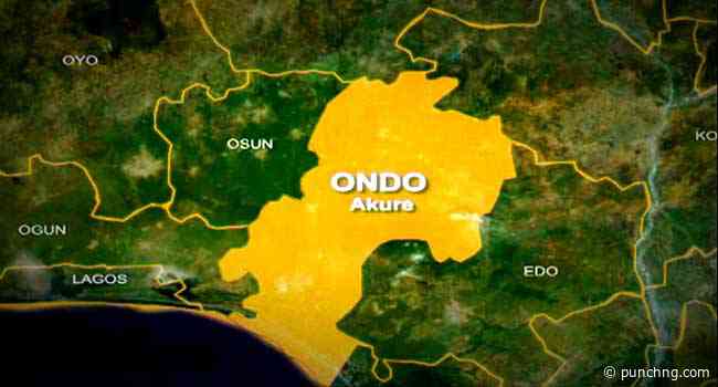 BREAKING: Two killed as terrorists attack Ondo community - Punch Newspapers
