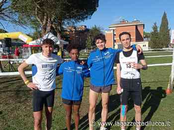 Virtus, ottimo quarto posto della squadra maschile assoluti al Cross di Sinalunga - La Gazzetta di Lucca