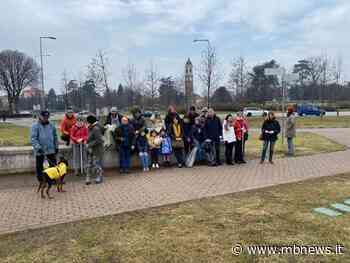 Scopa a e paletta, il “Comitato Cittadini Liberi Monza” ripulisce viale Lombardia - MBnews