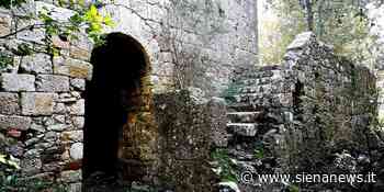 Siena di mille cose è piena – Il Castellaccio: nella Montagnola i resti di un’imponente fortez... - Siena News