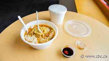 Fort Frances was the 1st Ontario town to ban single-use plastics. So how has it gone?