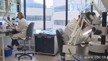 DFO scientists' union says members' work in N.L. undermined by industry and political interference