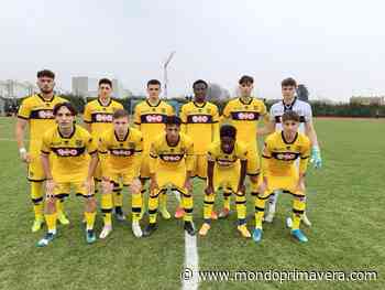 Napoli, dal Parma ecco il 2005 Ascolese: farà parte della Primavera - Mondoprimavera