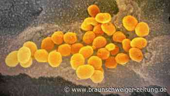 Omikron: Forscherteam findet Erklärung für mildere Verläufe