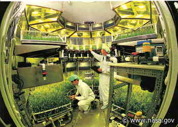 NASA Spinoffs Help Fight Coronavirus, Clean Pollution, Grow Food, More - NASA