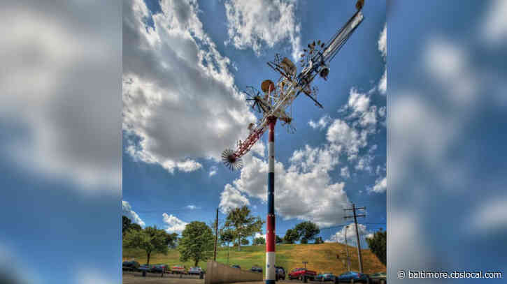 AVAM Receives $50K State Grant To Conserve Giant Whirligig