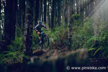 Warburton Mountain Bike Trail Network Needs Your Support - Deadline to Vote is Today - Pinkbike.com