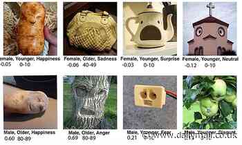 Faces in objects are more likely to be perceived as young and male, study finds