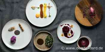 Das vegetarische 10.000-Kalorien-Menü von Tian-Chef Paul Ivić - DER STANDARD