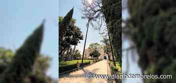 Catedral de Cuernavaca, ícono de la Eterna Primavera - Diario de Morelos