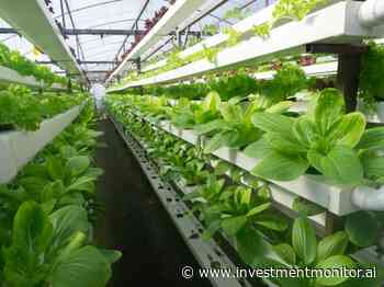 AgTech in Abu Dhabi: Driving a new way forward for food security - Investment Monitor