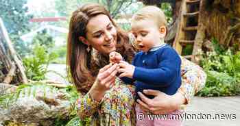The really strange food Kate Middleton craved when she was pregnant with Prince Louis - My London